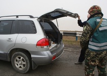 В Украине участились случаи ввоза авто по поддельным документам