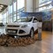 ��������� ����� Ford Kuga ������������ � ��������� �³���� ��������!
