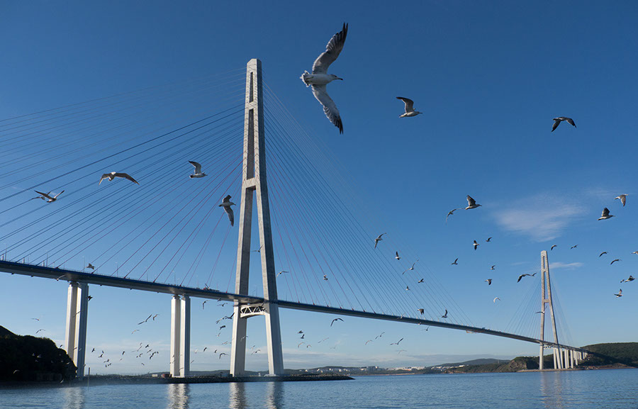 Стоимость Керченского моста выросла в восемь раз 