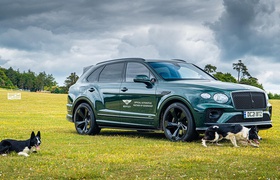 Bentley partners with Goodwoof festival for a weekend of luxury for dogs and their owners