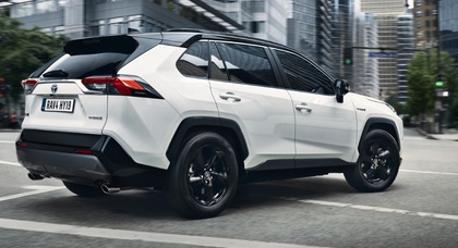 Найпопулярніші гібриди листопада в Україні