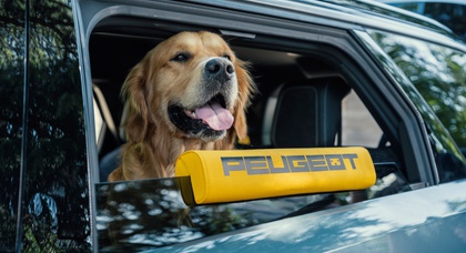 Peugeot E-5008 Dog Edition: Ein Concept Car für die Vierbeiner-Familie