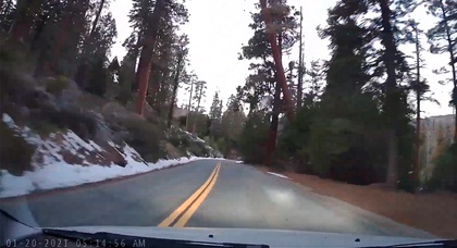 Видеорегистратор записал падение 60-метрового дерева на проезжающий автомобиль