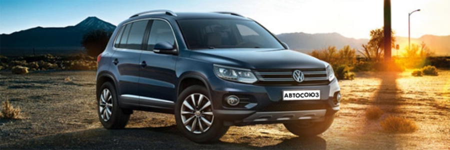 Модель tiguan игрушка