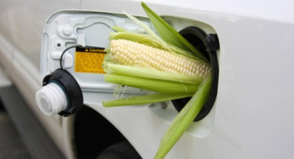 С 2014 года 5-процентное содержание биоэтанола в бензине станет обязательным