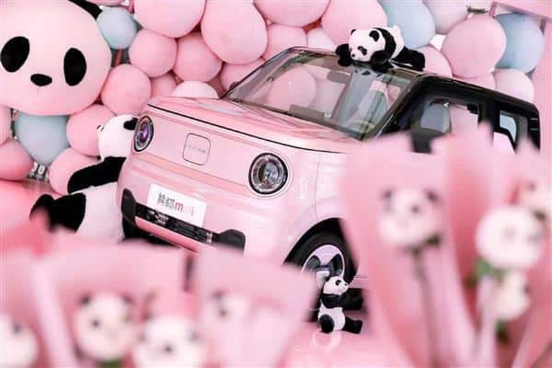 Panda Mini : aussi adorable que l'animal, cette voiture électrique