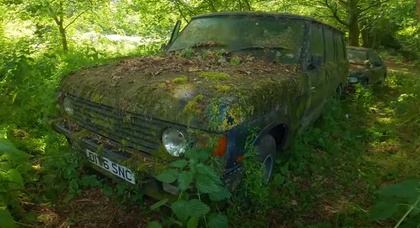1987 Land Rover Range Rover retrouvé abandonné dans une forêt avec seulement 23 000 miles au compteur