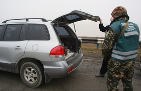В Украине участились случаи ввоза авто по поддельным документам