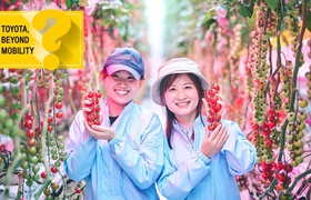 Toyota baut Erdbeeren und Tomaten in Fabriken an, um CO2-Emissionen zu reduzieren