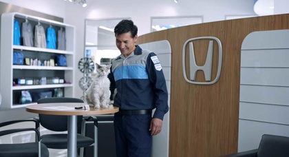 СТО Honda рекламирует «напыщенный» кот