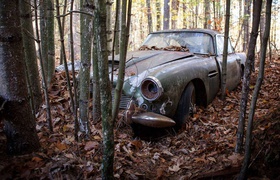 Американцы нашли в лесу 54-летний Aston Martin и выставили его на аукцион