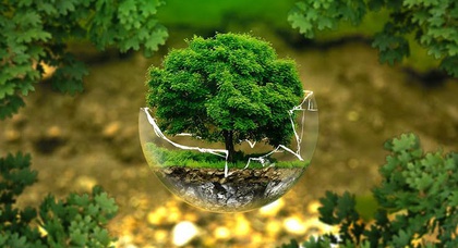 Компания «АвтоАльянс Киев» реализует стратегию - eco-friendly бренд!