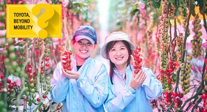 Toyota grows strawberries and tomatoes in factories to reduce CO2 emissions