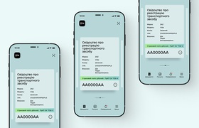 Госспецсвязи: персональные данные автовладельцев не пострадали из-за кибератаки