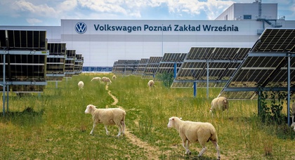 VW Poznań: 100 Schafe ersetzen Rasenmäher unter 18-MW-Solaranlage