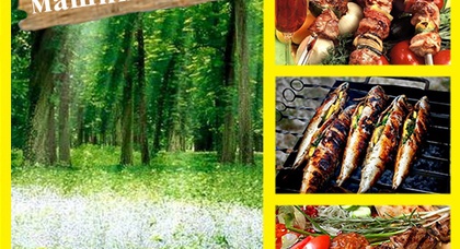 Весна. Я - на шашлыках, машина - на сервисе