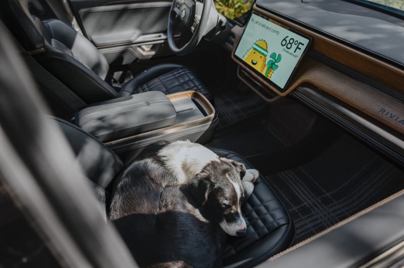 Собака в салоне Rivian R2 с экраном Pet Cam на дисплее