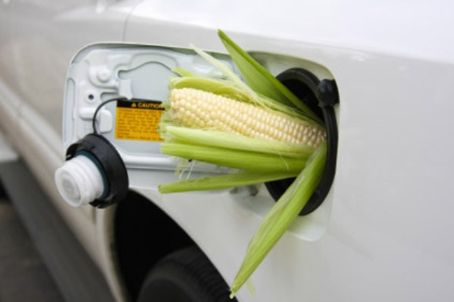 Норма о добавлении биоэтанола в бензин будет отменена