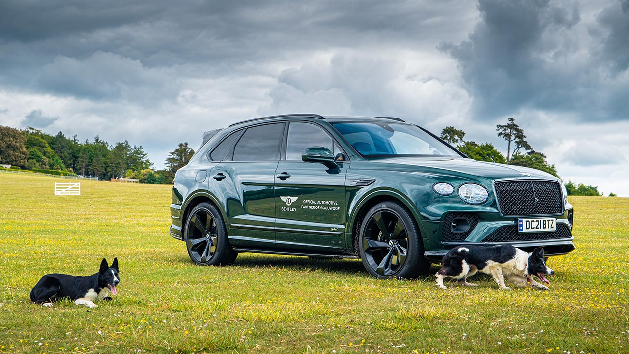 Bentley partners with Goodwoof festival for a weekend of luxury for dogs and their owners